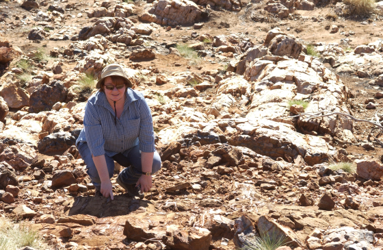 Carol Oliver doing research in the field