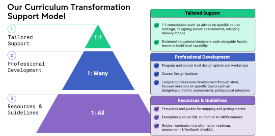 Curriculum Transformation Support Model