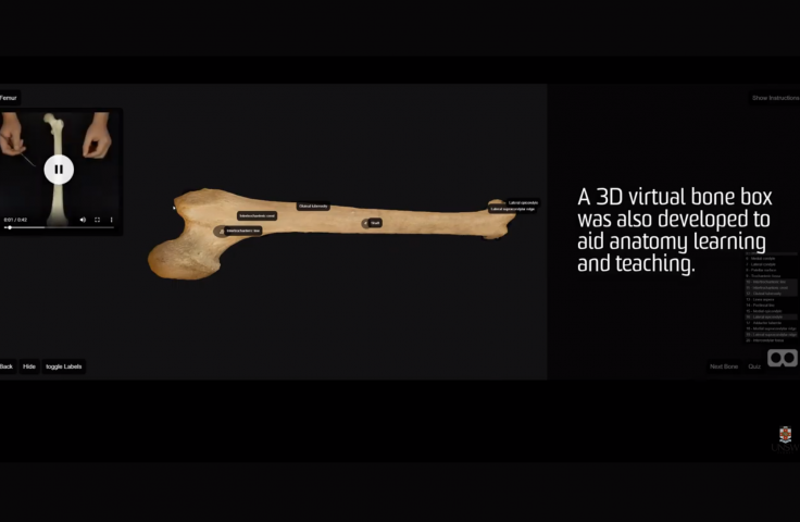 3D bone box.png