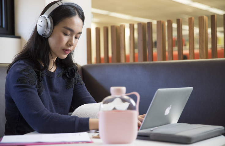 Student learning online