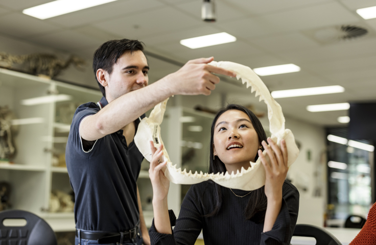 Two students examining set of animal teeth